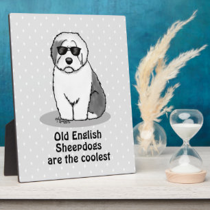 Cool Old English Sheepdog (Grau 1) Niedlich Funny Fotoplatte