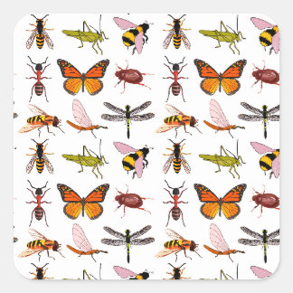 Cool PERSONNALISABLE INSECTE CARRÉ STICKERS