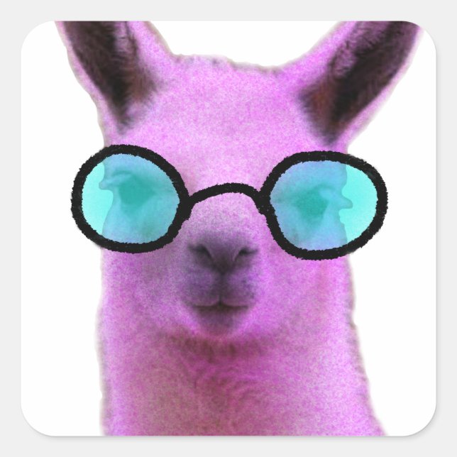 Cool Pink Llama! Quadratischer Aufkleber (Vorderseite)