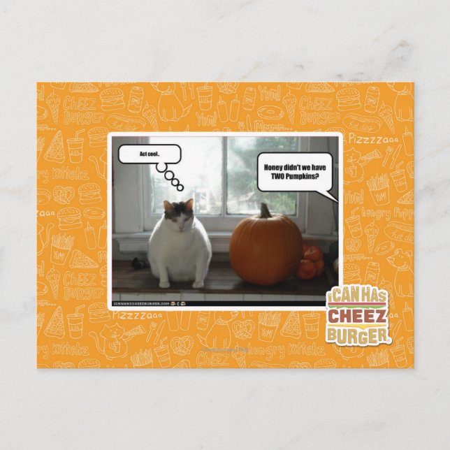 Cool Postkarte (Vorderseite)