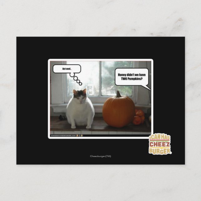 Cool Postkarte (Vorderseite)