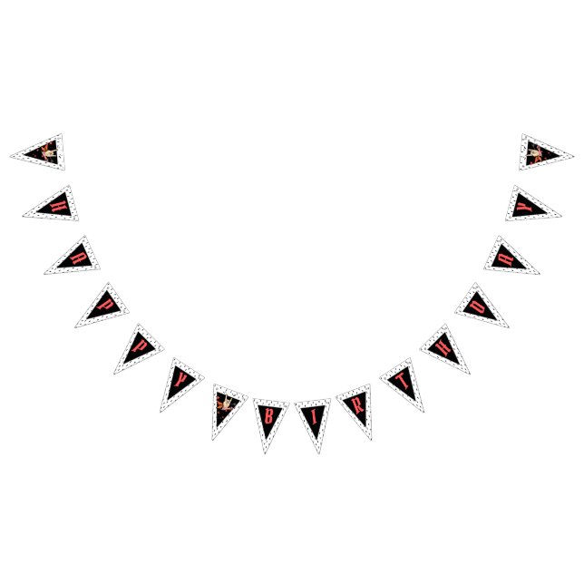 Cool Punk Rockstar Birthday Bunting Flags Wimpelkette (Alle)