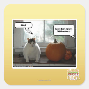 Cool Quadratischer Aufkleber