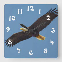 Coole Adleruhr