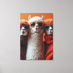 Coole Alpacas in Sweaters und Sonnenbrillen Leinwanddruck