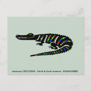 Coole Amerikanische KROKODILE - Wildtiere - Natur  Postkarte