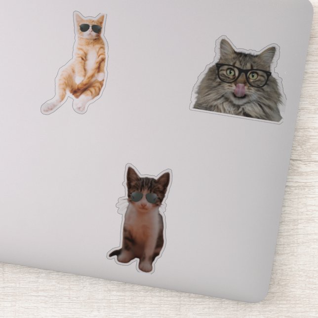 Coole Cat Memes Aufkleber (Detail)