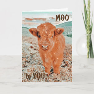 COOLE COW SAY MOO FÜR SIE *14. GEBURTSTAG* Karte
