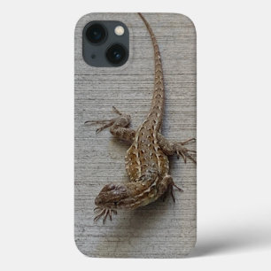 Coole Eidechse auf dem Bürgersteig Case-Mate iPhone Hülle