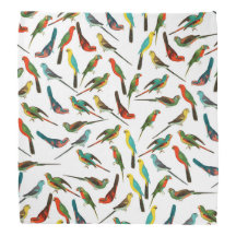 Coole, farbenfrohe tropische Vogelmuster