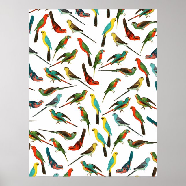 Coole, farbenfrohe tropische Vogelmuster Poster (Vorne)