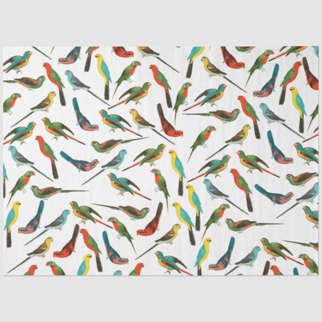 Coole, farbenfrohe tropische Vogelmuster Seidenpapier (Vorderseite)