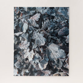 Coole frostige Blätter