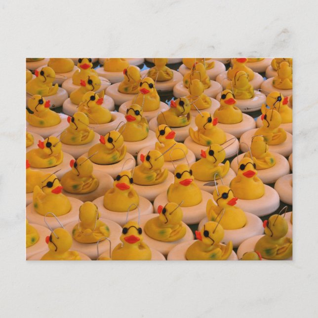 Coole Gelbe Gummienten Foto Funny Postcard Postkarte (Vorderseite)
