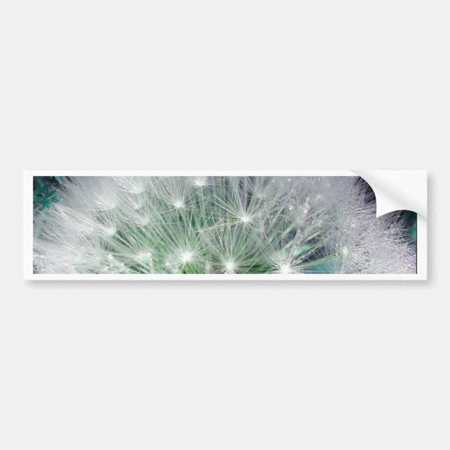 Coole grüne und weiße Kronleuchte mit Wassertropfe Autoaufkleber (Vorne)