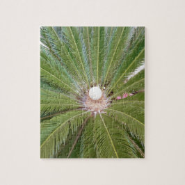 Coole Grünpalme