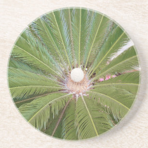 Coole Grünpalme Sandstein Untersetzer