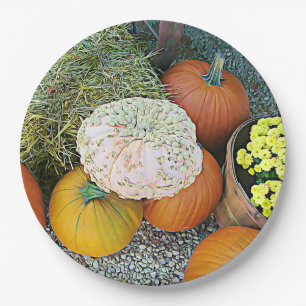 Coole Halloween Pumpkins Display Party Paper Telle Pappteller