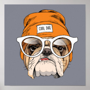 Coole Hipster-Bulldogge Poster