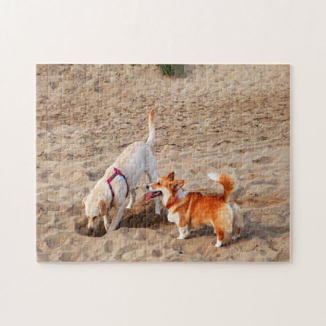 coole Hunde am Strand (Horizontal)