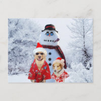 Coole Hunde und Schneemann