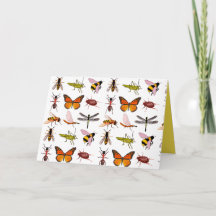 COOLE INSEKTEN Faltkarte