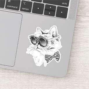 Coole Katze Aufkleber