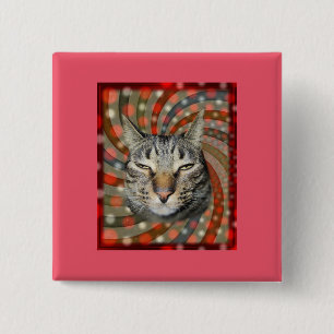 Coole Katze - DU KANNST Deinen Geschenk! Button