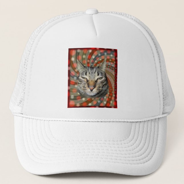 Coole Katze - DU KANNST Deinen Geschenk! Truckerkappe (Vorderseite)