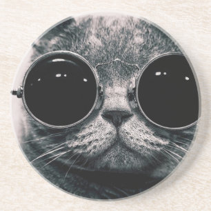 coole Katze Kool Kat mit Sonnenbrille Getränkeuntersetzer