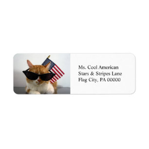 Coole Katze mit amerikanischen Flag-Rücksendeadres