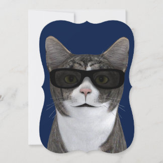 Coole Katze mit schwarzer Sonnenbrille