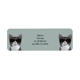 Coole Katze mit schwarzer Sonnenbrille