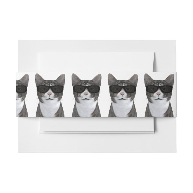 Coole Katze mit schwarzer Sonnenbrille Einladungsbanderole (Vorderseite Beispiel)