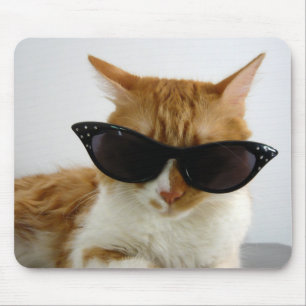 Coole Katze mit Sonnenbrille Mauspad