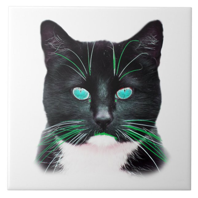 Coole Katze mit türkisfarbenen Augen Fliese (Vorderseite)