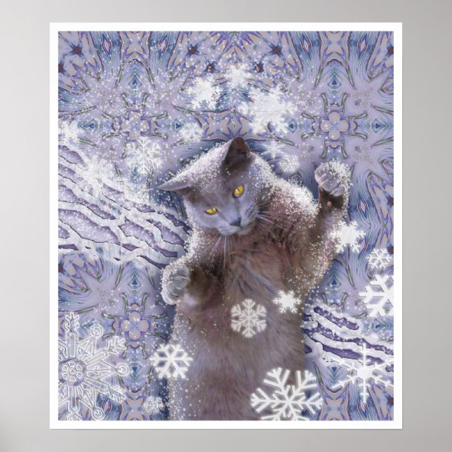 Coole Katze Poster (Vorne)