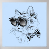 Coole Katze