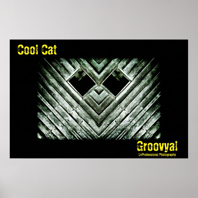 Coole Katze Poster (Vorne)