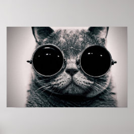 Coole Katze Poster