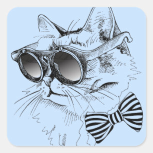 Coole Katze Quadratischer Aufkleber