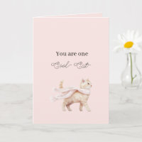Coole Katze Rosa Schal Geburtstag