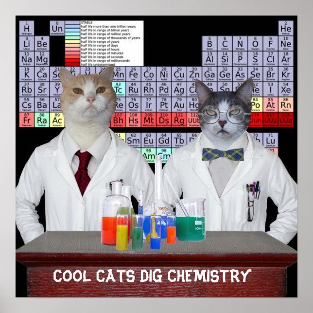 Coole Katzen Dig Chemie Poster (Vorne)