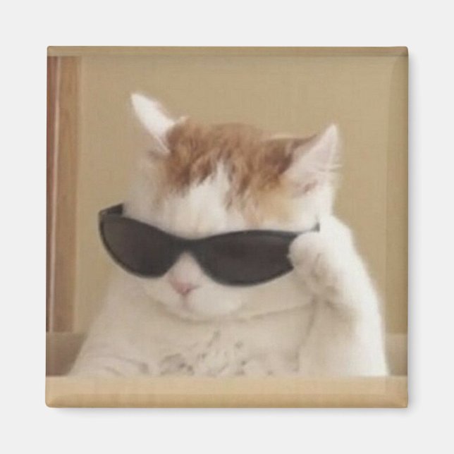 Coole Katzen-Meme Magnet (Vorne)