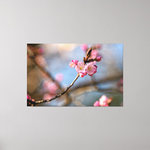 Coole Kirschblüten vor dem grauen Hintergrund Leinwanddruck
