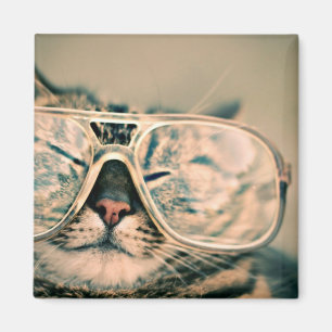 Coole Kitty in einer überdachten Brille Magnet