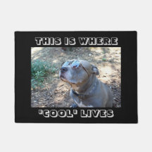 Coole Leute-coole Hundefußmatte