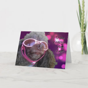 Coole Mama Poodle Happy Mütter Day Karte