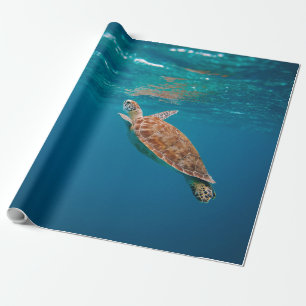 Coole Meerestiere Geschenkpapier