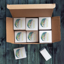 Coole moderne weiße und Aquamarine elektrische Git